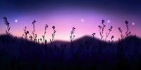 Silhouettes of wildflowers and grass against purple twilight sky with glowing lights creating magical evening atmosphere in natural meadow landscape.