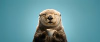 Adorable otter holding a coffee cup against blue background, isolated animal portrait for design, advertising, and merchandise applications.