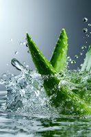 Fresh aloe vera leaves with water splash and droplets on gray background, dynamic motion capture showing natural moisturizing properties for cosmetic industry.