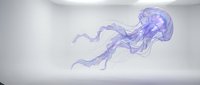 Purple translucent jellyfish floating gracefully in minimalist white studio space with soft lighting and clean background for marine life concepts.