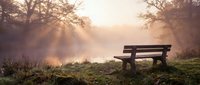 Wooden bench overlooking misty lake at sunrise with golden sunbeams filtering through bare trees creating peaceful morning atmosphere for meditation and relaxation.