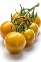 Fresh yellow cherry tomatoes on vine with water drops, captured in macro photography against white background. Perfect for culinary and food marketing.