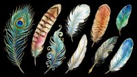 Colorful decorative feathers set isolated on transparent background, ready for stickers, sublimation, t-shirt design, clipart, and print on demand projects.