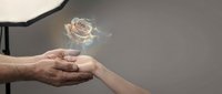 Elderly and young hands reaching toward each other with glowing rose hologram symbolizing love, connection, and intergenerational bond in minimalist setting.