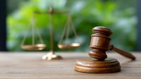 Wooden judge gavel and golden scales of justice on wooden table against green natural background, law and justice concept for legal firms and courts.