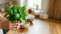 Fresh green basil bunch held in hand over wooden kitchen counter with blurred home interior background, suitable for cooking and culinary content.