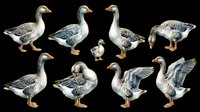 Domestic goose collection featuring multiple poses and angles isolated on transparent background. Ready for clipart, t-shirt design, print-on-demand products, stickers, and sublimation projects.