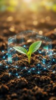 Young plant seedling with futuristic holographic growth data visualization and digital analytics interface in soil for agriculture technology concepts.