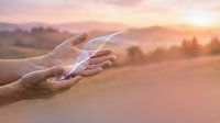 Hands holding smartphone at golden hour sunset with warm light and rural landscape background for mobile technology and communication concepts.
