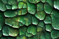 Cracked green paint texture with deep shadows and weathered surface creates abstract pattern of peeling layers, suitable for background design and artistic projects.