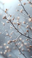 Delicate tree branches with frost-covered buds against soft gray winter background, falling snow creates dreamy atmosphere for seasonal greeting cards and decor.