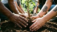 Diverse hands protecting young plant seedling in soil, symbolizing teamwork, environmental care, growth, and community collaboration in gardening.