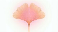 Ginkgo leaf in soft peachy pink tones isolated on white background, suitable for botanical designs, wellness branding, and decorative applications.