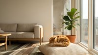 Cozy minimalist living room with a sleeping ginger cat on a knitted pouf, large windows, fiddle leaf fig plant, and neutral tones.
