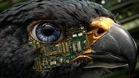 Black eagle head with exposed circuit board and bright blue cybernetic eye showing technological fusion of nature and machine in dramatic close-up view.