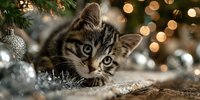Tabby kitten peeking through Christmas decorations with silver ornaments and warm bokeh lights creating festive holiday atmosphere.