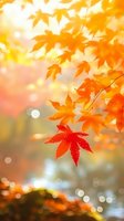 Vibrant orange and red maple leaves against soft bokeh background create dreamy autumn atmosphere with natural sunlight and falling foliage for seasonal designs.