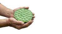 Hands holding green bubble wrap isolated on white background, perfect for packaging, shipping, and protection concepts.