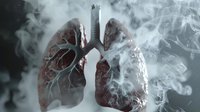 Anatomical lungs with bronchi surrounded by cigarette smoke, highlighting health risks and dangers of smoking. Medical education concept.