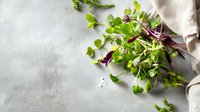 Fresh microgreens mix with purple and green sprouts on light concrete background with linen napkin. Healthy organic food concept.