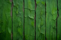 Weathered green wooden planks with peeling paint texture showing natural aging and distress, vertical lines creating rustic architectural background pattern.