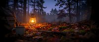 Vintage lantern glowing warmly on forest floor covered with autumn leaves during twilight hour creating magical atmospheric lighting in woodland setting.