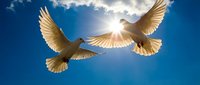 Two white doves flying in bright blue sky with sun rays and clouds, symbolizing peace, freedom and hope for spiritual and wedding concepts.