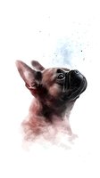 Artistic watercolor portrait of French Bulldog puppy looking up with soft pink and blue tones on white background, isolated design element for wall art.