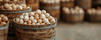 Fresh macadamia nuts in rustic wooden baskets at farmers market, selective focus on foreground with blurred background creates depth for food photography.