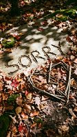 Word SORRY carved in fallen log with heart made of twigs, surrounded by colorful autumn leaves in forest, apology and love concept.
