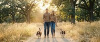 Young couple walking with two small dogs on rural path during golden hour sunset through peaceful countryside meadow with trees creating warm romantic atmosphere.