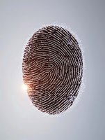Detailed fingerprint pattern with glowing light effect on gray background, featuring intricate ridges and unique biometric identification characteristics.