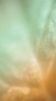 Soft focus abstract background with warm orange and cool mint green gradient tones, featuring bokeh light effects and blurred organic shapes for wellness, spa, and lifestyle design projects.