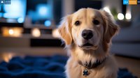 Golden retriever with collar sitting indoors with blurred warm lighting in background, suitable for pet care, animal companionship, and lifestyle content.