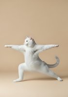 White cat in yoga warrior pose with arms stretched wide on neutral beige background, suitable for fitness, wellness, and humorous pet-related design projects.