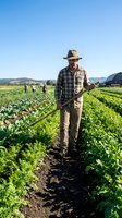 Male farmer in plaid shirt and hat holding hoe in vegetable field with workers and mountains in background. Agricultural work and farming operations.
