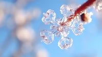 Delicate ice crystal snowflake formation with intricate details against soft blue winter sky background, natural frost pattern showing symmetrical structure and transparency.