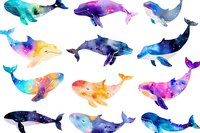 Watercolor whales collection featuring cosmic and galaxy patterns in vibrant blues, purples, and yellows, painted with splashes and starry effects on white background.