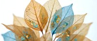 Delicate translucent leaves in golden and turquoise hues with intricate vein patterns and sparkly details on white background for elegant design projects.