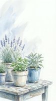 Watercolor potted herbs lavender sage plants on rustic wooden table with soft blue and cream background for kitchen garden home decor and botanical designs.