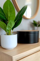 Lush green houseplant in white ceramic pot on wooden console table with black storage box and round mirror in modern minimalist home decor.