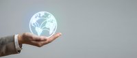 Global business network connection in hand, representing worldwide digital communication and international commerce opportunities.