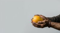 Person with dark skin tone holding a golden apple in cupped hands against neutral background. Suitable for wellness, health, nutrition, organic produce, and sustainability concepts.