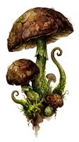 Watercolor fantasy mushrooms with brown caps and green stems isolated on white background for botanical illustration and nature design projects.