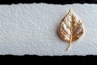 Single golden leaf on white textured paper with torn edge creates minimalist composition against dark background, suitable for luxury branding and editorial design.