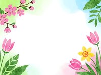 Spring floral frame with pink cherry blossoms, tulips and daffodils on white background for greeting cards, invitations and seasonal designs.