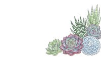 Succulent plants arrangement with cacti and echeveria in pastel colors on white background isolated for botanical design and decoration projects.