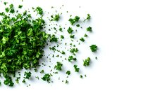 Fresh parsley leaves scattered on white background, organic culinary herbs viewed from above, isolated cooking ingredient for food preparation and garnish.