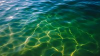 Mesmerizing underwater light patterns create abstract ripples in turquoise and emerald green water surface, sunlight dancing through gentle waves.