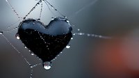 Dark heart shape with water droplets on spider web against blurred background, creating romantic and mysterious mood in macro photography.